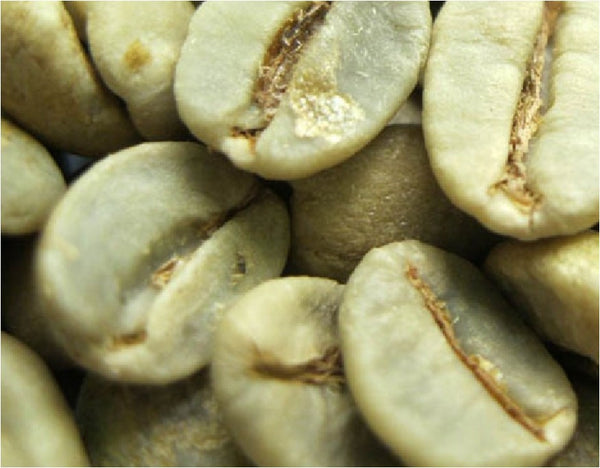 Brazil Green Coffee Beans